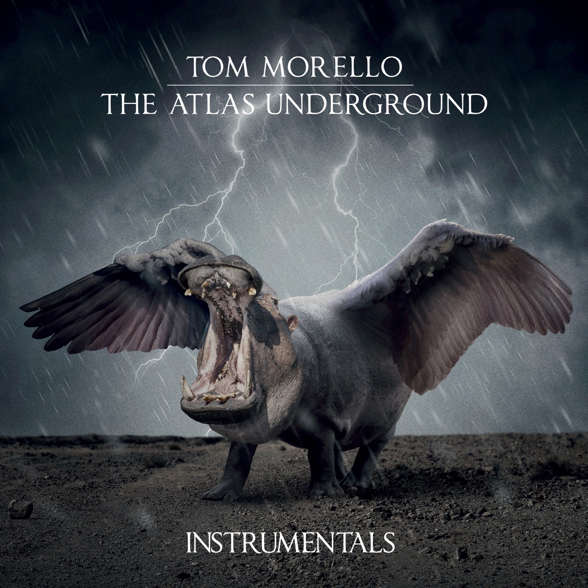 Tom Morello - Apple Music