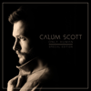 Calum Scott & Leona Lewis - You Are the Reason (Duet Version) Grafik