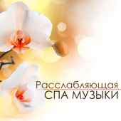 Расслабляющая спа музыки - музыка для массажа и оздоровительный центр, Звуки природы для, Улучшения сна, стимуляции мозга, Песни для релаксации и медитации