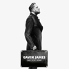 Always - Gavin James