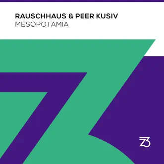 Mesopotamia (Extended Mix) by Rauschhaus & Peer Kusiv song reviws