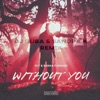 Without You (Dj Quba, Sandra K Remix) - Single