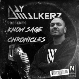 The Recipe (feat. Doc Wattson & Know Sage) Daywalkerz