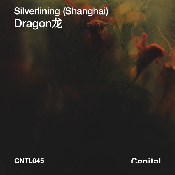 Dragon 龙 - EP