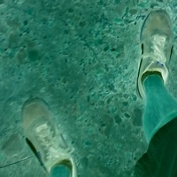 Digital T**s (Goodbye 20 20) - Single - Ortigatomika