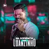 Luanzinho Moraes - Acertou Bebê