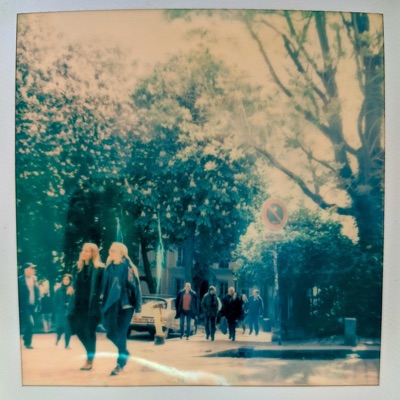 Calm Not Still - Single