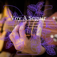 Voy a Seguir - Single - YahirMG