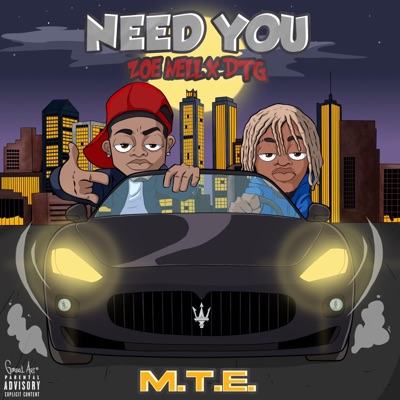 Need You (feat. Zoe Nell) - Single