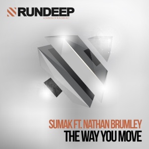 The Way You Move (feat. Nathan Brumley) - Single