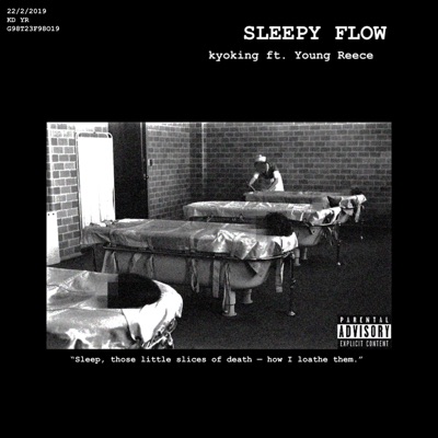 Sleepy Flow (feat. Young Reece) - Single