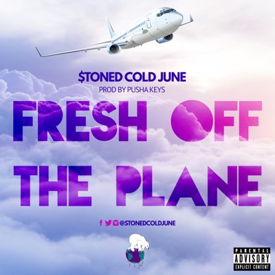 Fresh Off the Plane - Single