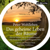 Das geheime Leben der Bäume - Peter Wohlleben