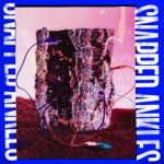 Snapped Ankles - Rhythm Is Our Business