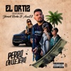 Perro Callejero (feat. Yerack Rocha & Axxess) - Single