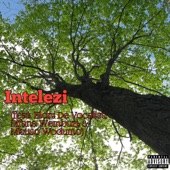 Intelezi (feat. Hloni De Vocalist, Mfana Wembuzi & Mbuso Wodumo) artwork