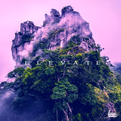 Elevate - Single