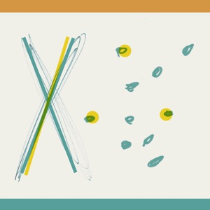 X (feat. Panu Savolainen)