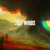 Lost Woods - Single