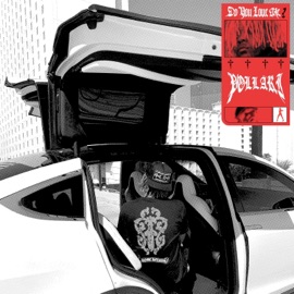 Do You Love Me? Pollari