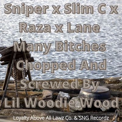 Many Bitches (feat. Sniper, Slim C, Raza & Lane) - Single