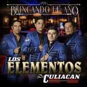 Los Elementos de Culiacan - Brincando el Año