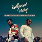 Bollywood Mashup (feat. Muzik Amy) artwork