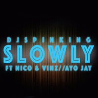 Slowly (feat. Nico & Vinz, Ayo Jay) - Single - DJ SPINKING