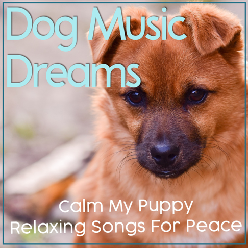 Puppy sales meditation music