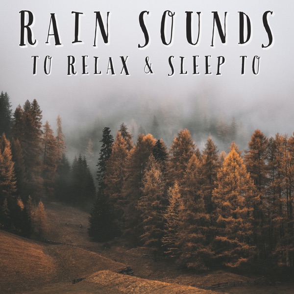 Rain Sounds To Relax & Sleep To - EP