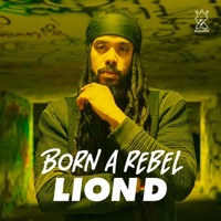 Born A Rebel - Single - Bizzarri & Lion D