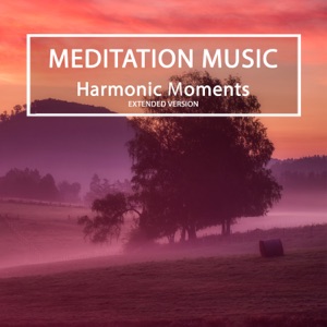Harmonic Moments (Extended Version)