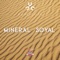 Mineral Soyal - Duplicuts lyrics