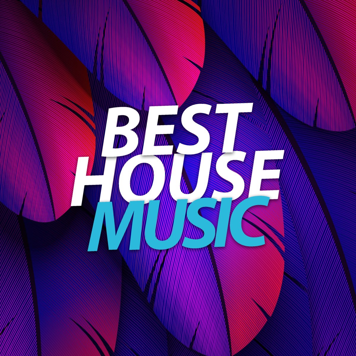 ‎Best House Music Album by House Music Apple Music