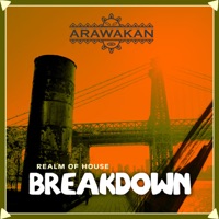 BreakDown - Single - Realm of House