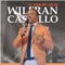 Carta del Verano (feat. Ernesto Mendoza) - Wilfran Castillo lyrics