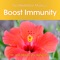 Tao Meditation Music to Boost Immunity - Dr. & Master Zhi Gang Sha lyrics