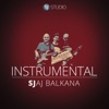 Sasa Jelic - Sjaj Balkana
