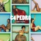 Pele Negra - C4 Pedro lyrics