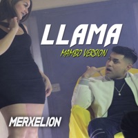 Llama (Mambo Version) - Single - Merxelion