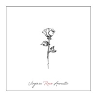 Virginia Rose (Acoustic) - Single - Jared Minnix