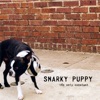 Open Forum by Snarky Puppy