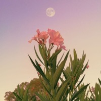 Walk in the Park - Single - Sacha & Neoplasma