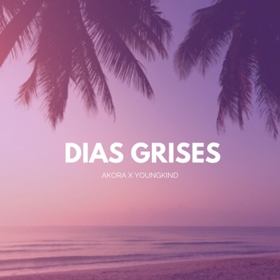 Días Grises (feat. Youngkind) - Single