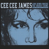 Cee Cee James - Done Love Wrong