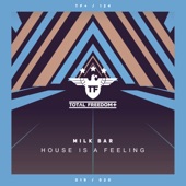 House Is a Feeling (Extended Mix) artwork