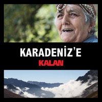 Karadeniz'e Kalan - Various Artists