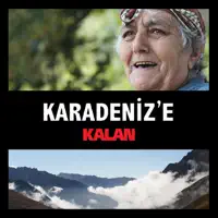 Biçtum Çayır Çimeni