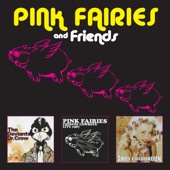 The Pink Fairies - City Kids