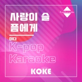 사랑이 슬픔에게 : Originally Performed By 야다 (Karaoke Verison) artwork